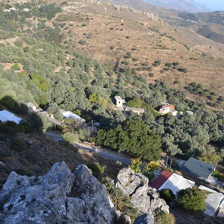 Garden Of Olive Trees Villa Asfendiles Exteriör bild