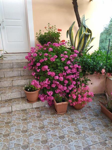 Garden Of Olive Trees Villa Asfendiles Exteriör bild