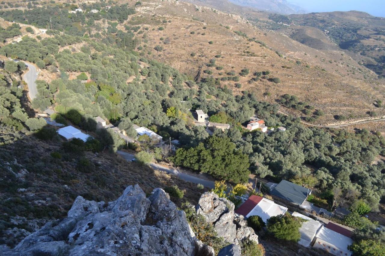 Garden Of Olive Trees Villa Asfendiles Exteriör bild